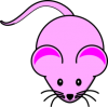 pinkmouse's Avatar