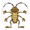 FastCockroach's Avatar