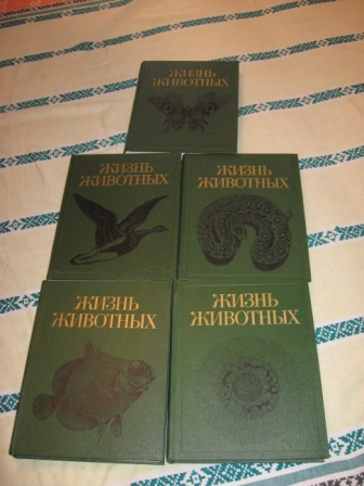 Назва: IMG_3378.jpg
Переглядів: 136
Розмір: 81.1 КБ