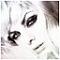 Ninas's Avatar